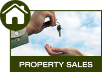 Sales